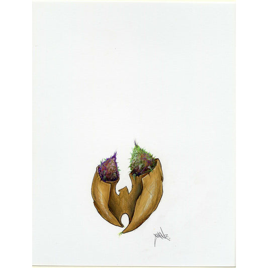 Acorn Tree