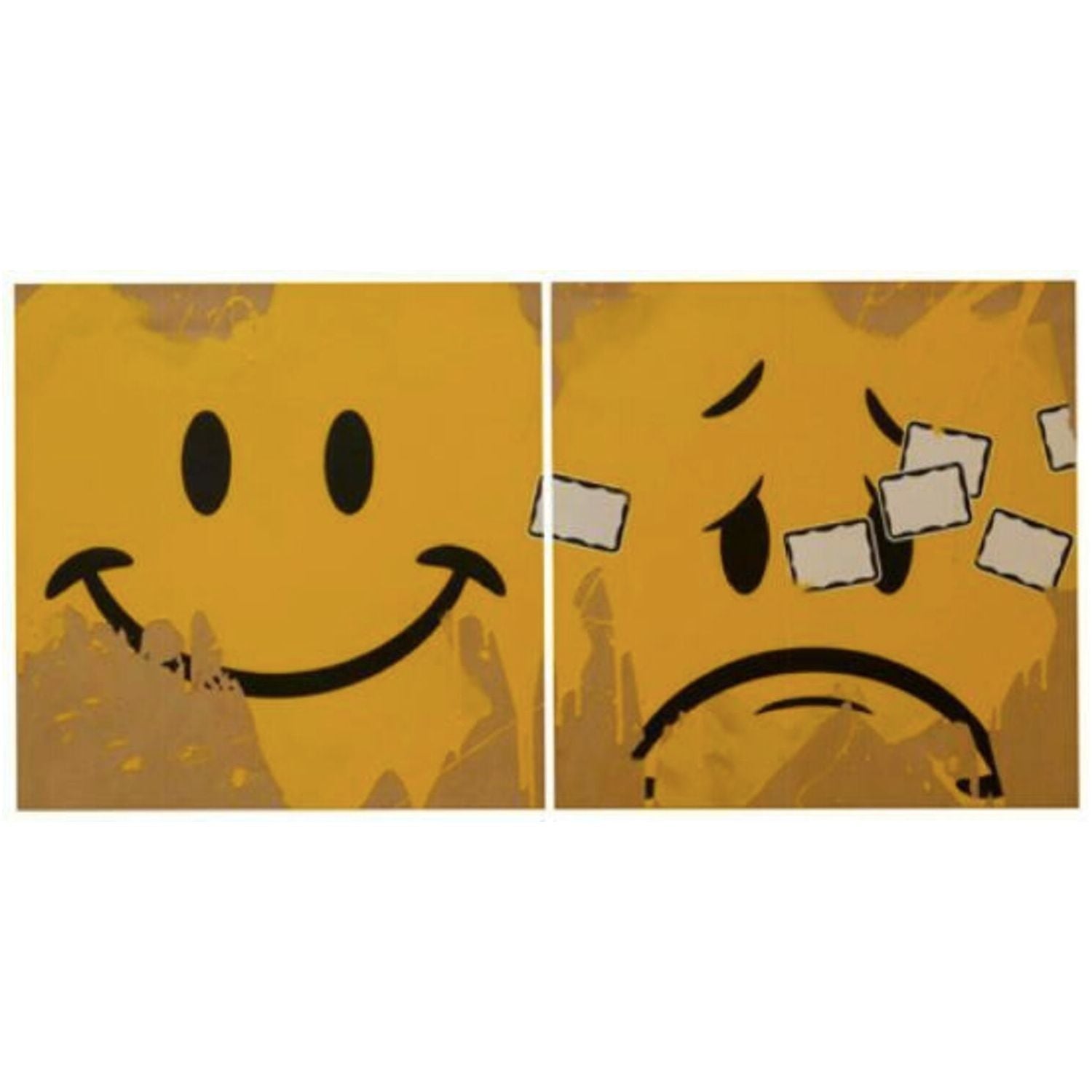 Smile Now, Cry Later (Diptych)