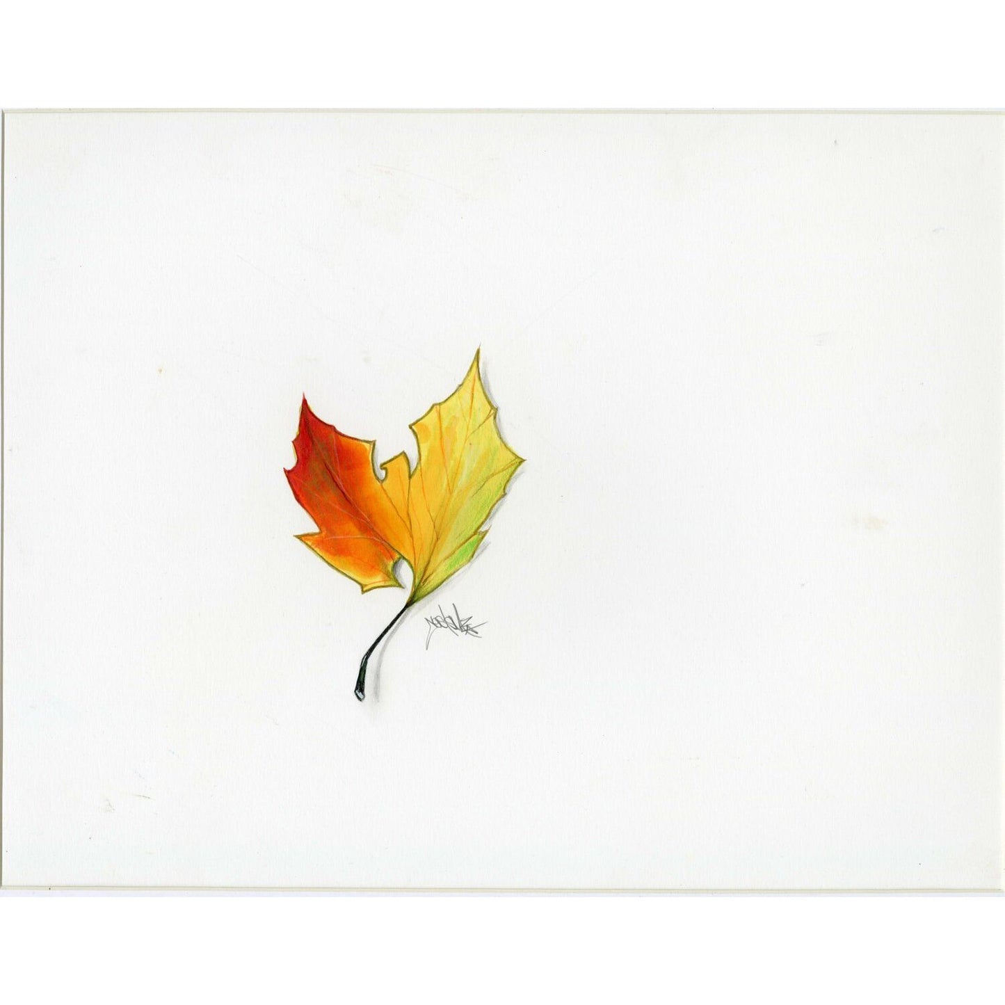 Leaf