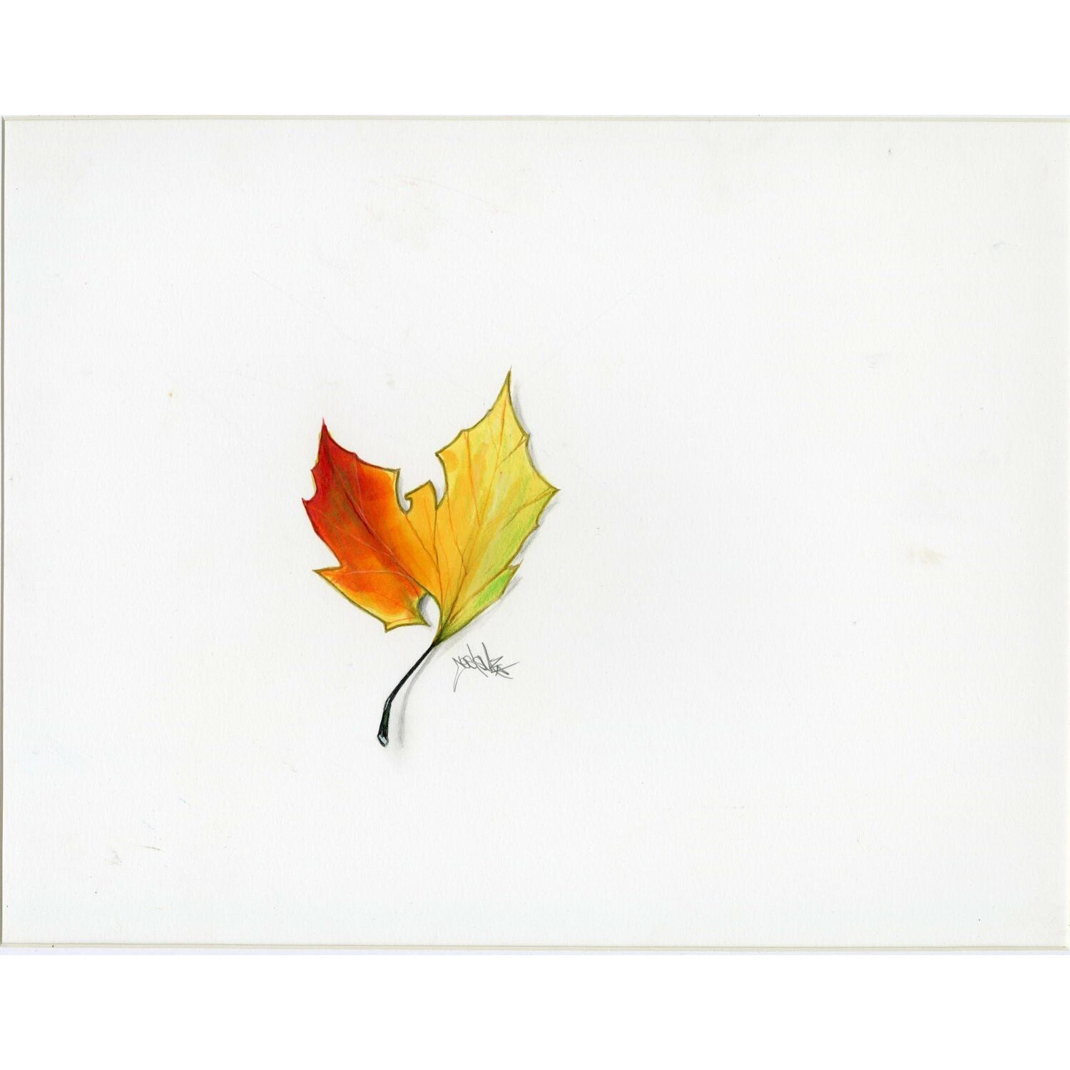 Leaf