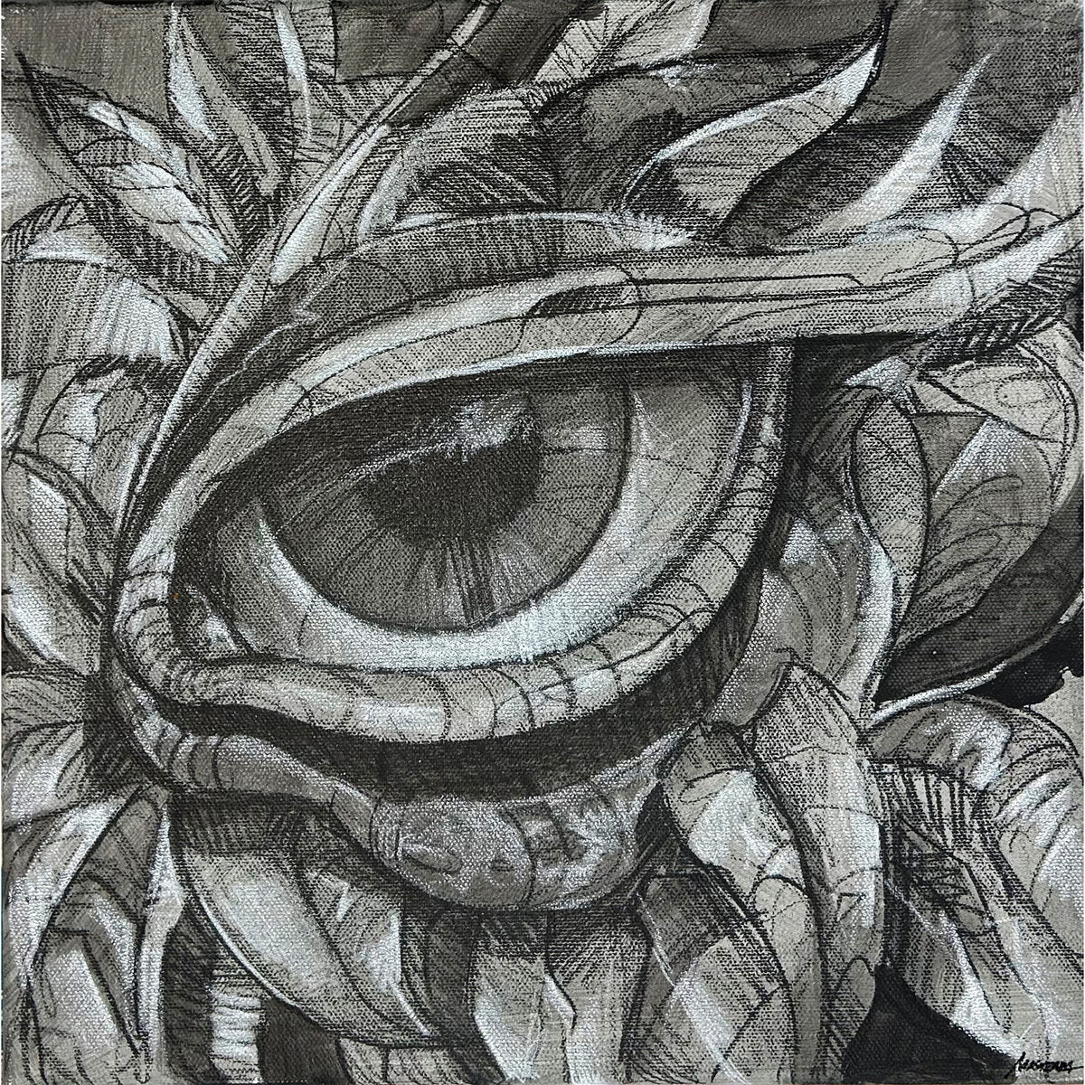 Natura 1