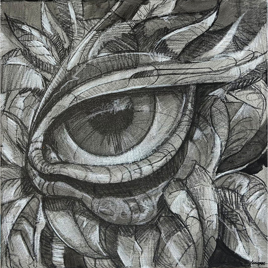 Natura 1