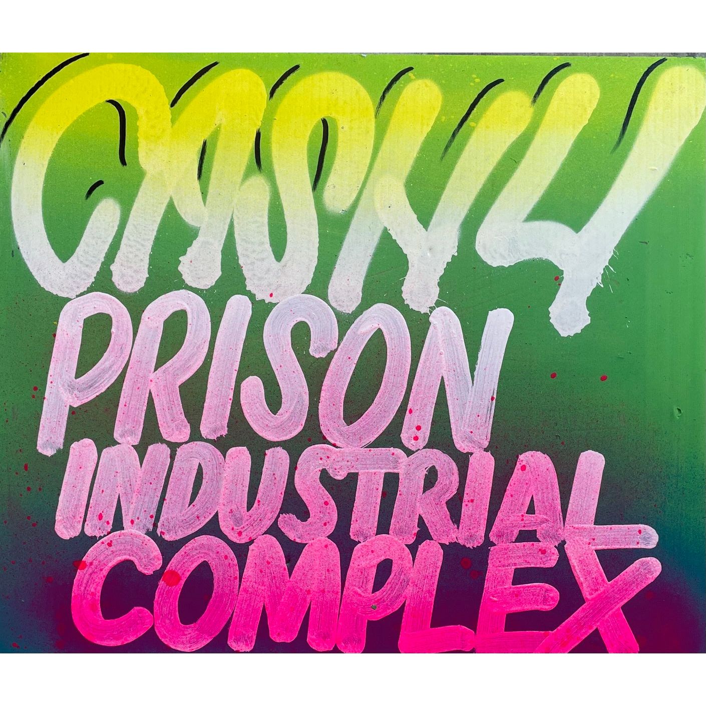 Prison Industrial Complex